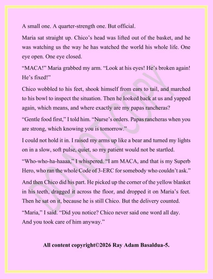 chico page5
